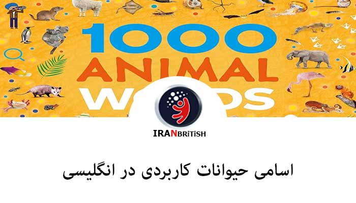 100 تا از اسامی حیوانات در زبان انگلیسی